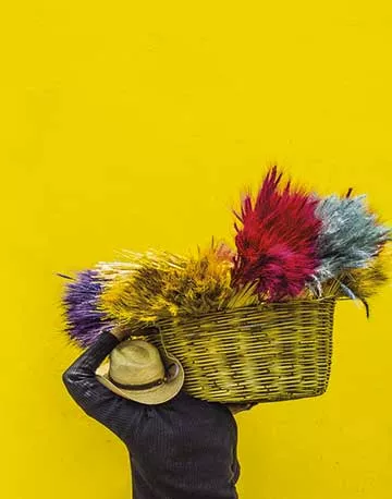 Cesta de flores